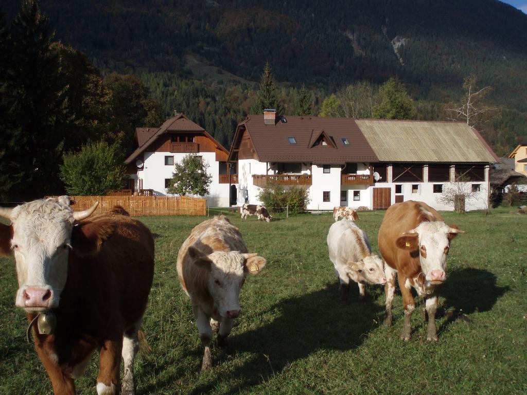 Farm Kosir Villa Kranjska Gora Kültér fotó