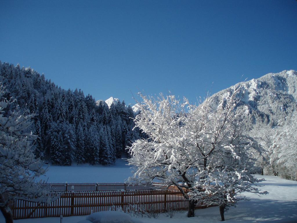 Farm Kosir Villa Kranjska Gora Kültér fotó