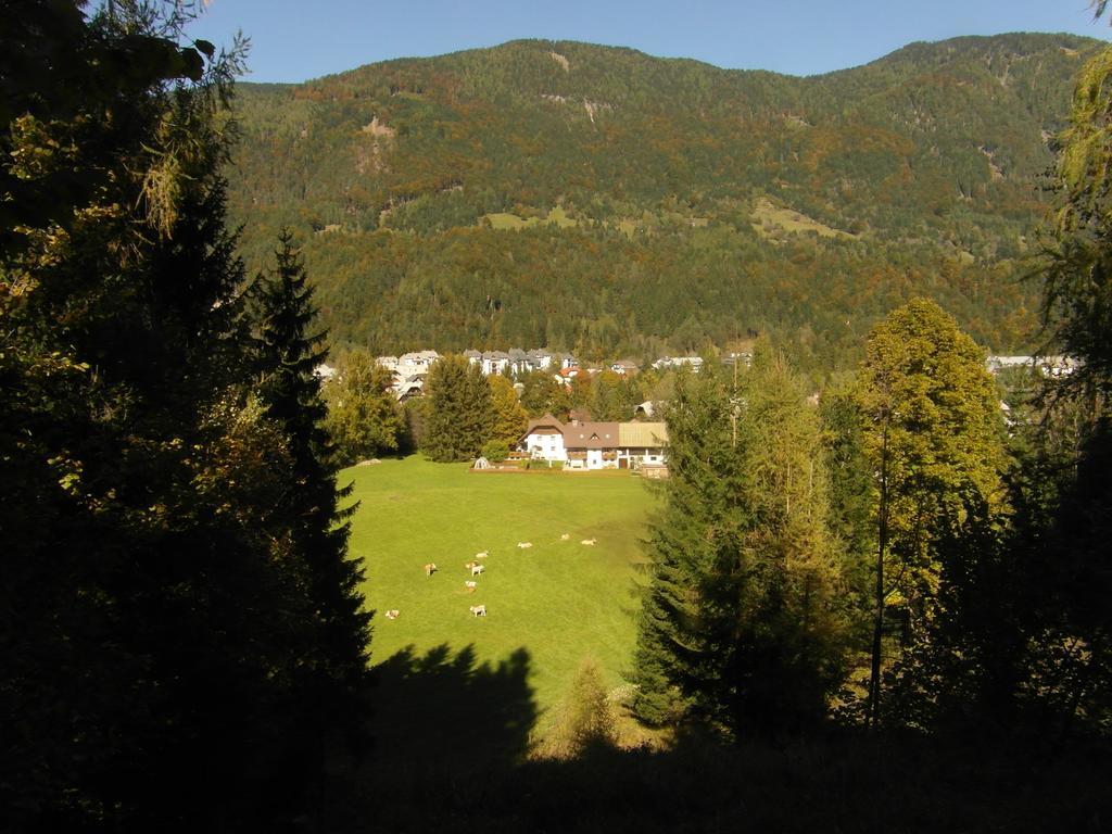 Farm Kosir Villa Kranjska Gora Kültér fotó