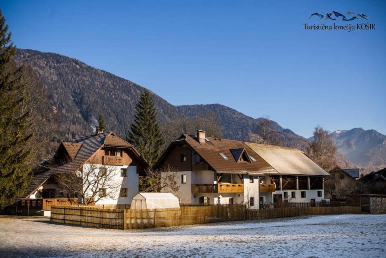 Farm Kosir Villa Kranjska Gora Kültér fotó